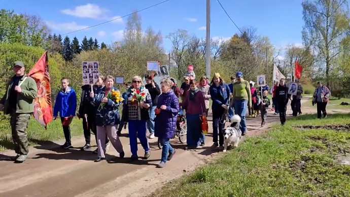 «Солдатские» березы: как в деревне Бетково прошел «Бессмертный полк» «Солдатские» березы: как в деревне Бетково прошел «Бессмертный полк»