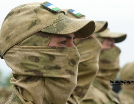 В России срок службы добровольцем зачтется при учете пенсионных выплат В России срок службы добровольцем зачтется при учете пенсионных выплат