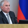 Вячеслав Володин: приняли ряд федеральных законов, направленных на усиление контроля за мигрантами