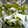 Порывы ветра и плюс: какая погода ждёт новгородцев на выходных?