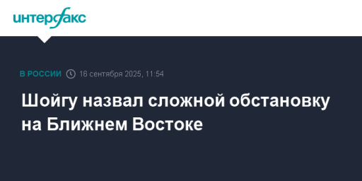 Шойгу назвал сложной обстановку на Ближнем Востоке