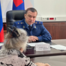 В Приамурье мужчина регулярно избивал свою пожилую мать