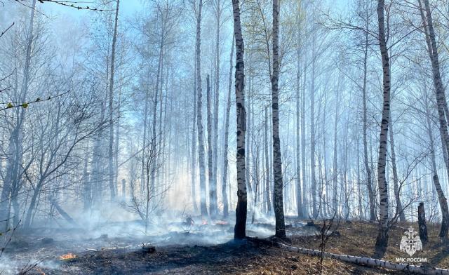 На юге Башкирии горит лес на площади 14 га На юге Башкирии горит лес на площади 14 га