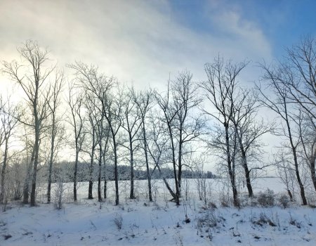 В Башкирии скоро выпадет снег В Башкирии скоро выпадет снег