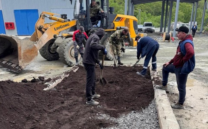На мусорном полигоне на Сахалине высадили пионы, азалии, ирисы На мусорном полигоне на Сахалине высадили пионы, азалии, ирисы