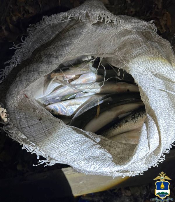 Житель Бурятии выловил омуля почти на 250 тысяч рублей Житель Бурятии выловил омуля почти на 250 тысяч рублей