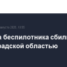 Еще два беспилотника сбили над Ленинградской областью