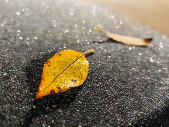 Синоптик Позднякова: Первый ноябрьский мороз ожидает москвичей на выходных