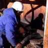 Талибы расторгли контракт по нефтедобыче с компанией из Китая и ведут ее сами