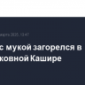 Бункер с мукой загорелся в подмосковной Кашире
