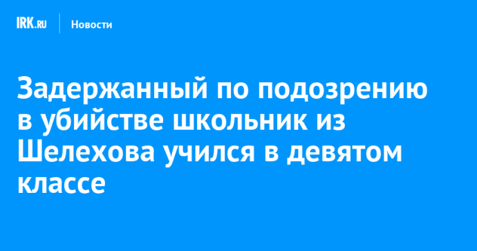 Задержанный по подозрению в убийстве школьник из Шелехова учился в девятом классе