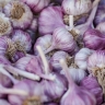 Ученые нашли продукты, замедляющие старение организма