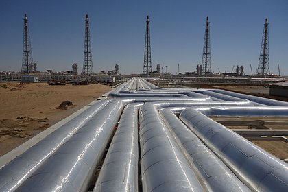 Постсоветская страна выразила готовность поставлять газ в Европу