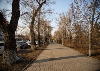 В Благовещенске введен режим повышенной готовности из-за сильного ветра