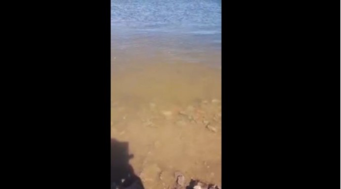 Вода пошла в низовья Волги. Что происходит на берегах 