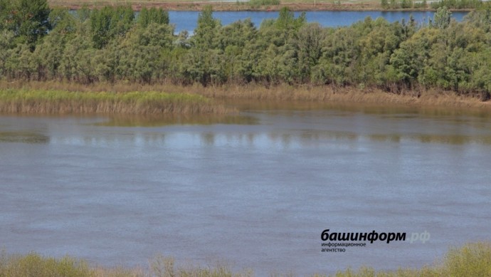 Стали известны причины гибели рыбы в реке Башкирии