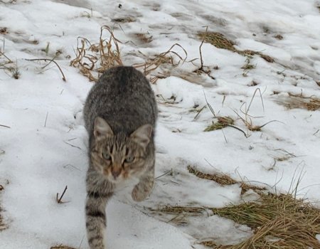 В районах Башкирии выпал первый снег