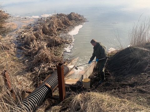 Росприроднадзор устанавливает причины массовой гибели рыбы в пруду в Мордовии