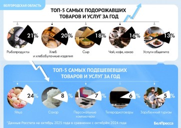 Годовая инфляция в Белгородской области снизилась до 7,7 % (инфографика)