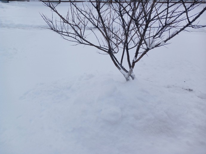 В Башкирии выпадет снег В Башкирии выпадет снег