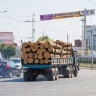 В СФ заявили, что частая смена правил для бизнеса в леспроме тормозит развитие