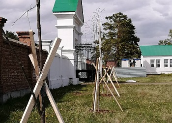 Липовую аллею высадили в Свято-Троицкой обители в Приамурье Липовую аллею высадили в Свято-Троицкой обители в Приамурье