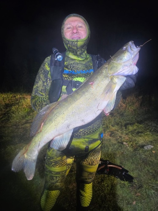 В Башкирии подводные охотники поймали огромного судака и сома В Башкирии подводные охотники поймали огромного судака и сома