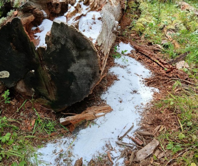 В нацпарке Бурятии обновили звериные солонцы