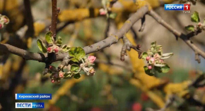 Погода в майские праздники не побалует туляков теплом и солнцем