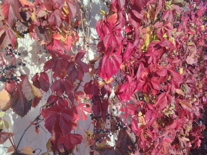 В Башкирии пообещали аномальную погоду на ноябрь, декабрь и январь В Башкирии пообещали аномальную погоду на ноябрь, декабрь и январь