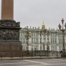 Эрмитаж поможет осиротевшим питомцам своей сотрудницы
