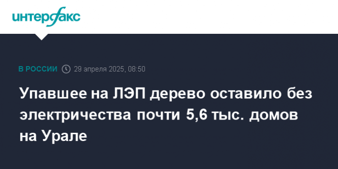Упавшее на ЛЭП дерево оставило без электричества почти 5,6 тыс. домов на Урале