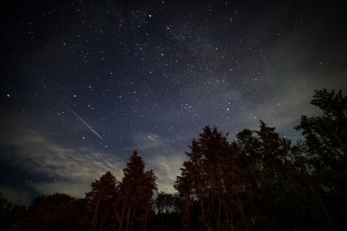 Москвичи смогут увидеть пик метеорного потока Леониды в ночь на 17 ноября