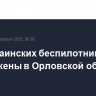 Два украинских беспилотника уничтожены в Орловской области