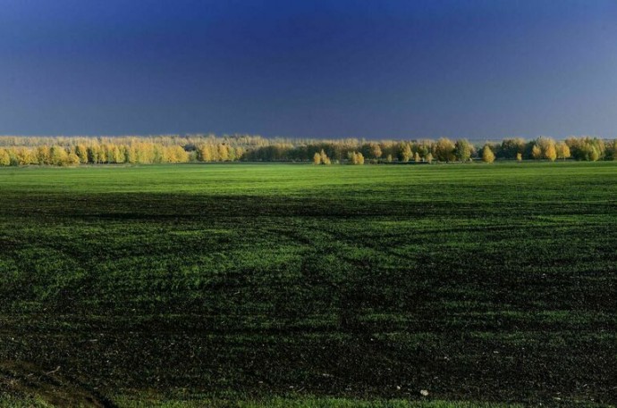 В Госдуму внесли законопроект о землях с особыми условиями использования В Госдуму внесли законопроект о землях с особыми условиями использования