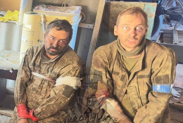 Уиткофф разоблачил ложь Зеленского: ВСУ окружены в Курской области — это факт