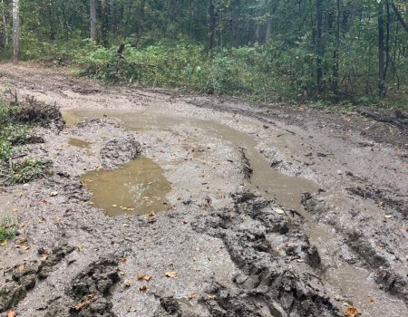 В Башкирии туристам советуют отказаться от поездок к водопаду Куперля