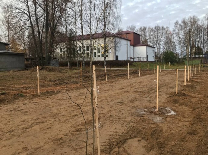 В Ярославской области заложили аллею героев специальной военной операции