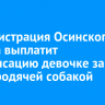 Администрация Осинского района выплатит компенсацию девочке за укус бродячей собакой