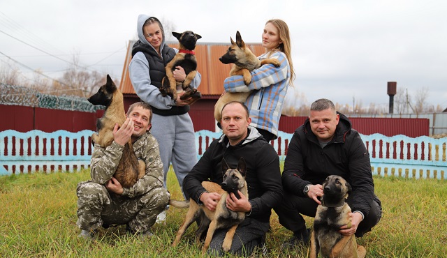 10 щенков малинуа передали из Мордовии в территориальные органы ФСИН России