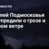Жителей Подмосковья предупредили о грозе и сильном ветре