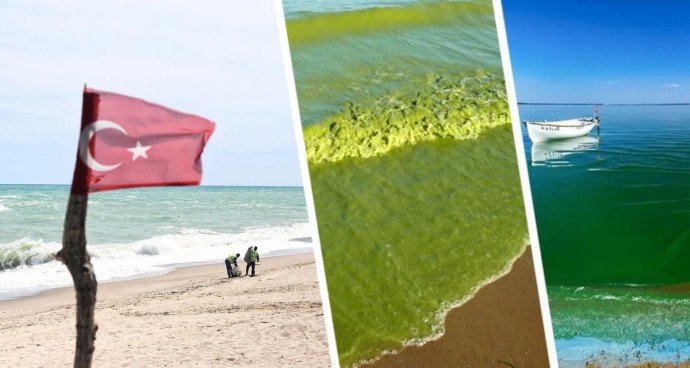 Зуд и жжение в Анталии: российские туристы сообщают о проблемах с кожей после купания