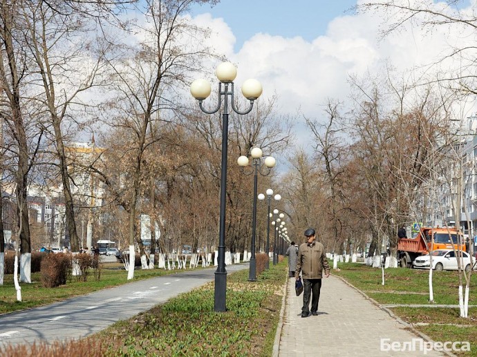 Заболеваемость ОРВИ и гриппом в Белгородской области снизилась вдвое