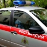 В Мордовии за неделю экипажи Росгвардии 64 раза выезжали по сигналу "Тревога"
