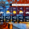Тепло, пасмурно и без серьезных осадков: чего ждать от погоды в Петербурге с 5 по 11 октября