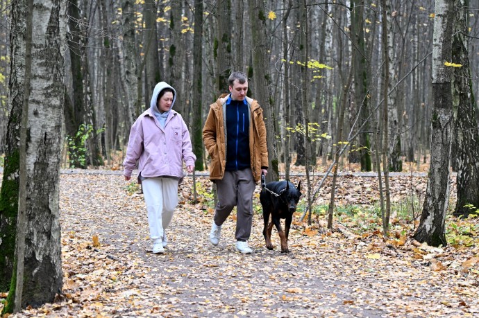 Rambler&Co: 41% россиян испытывает осенью упадок энергии и настроения Rambler&Co: 41% россиян испытывает осенью упадок энергии и настроения