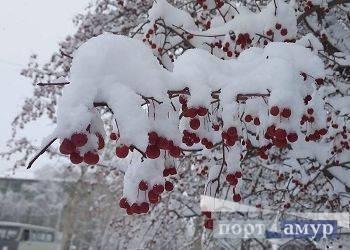 В Амурской области похолодает до -31°