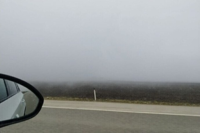 Туман и гололед ожидаются в Белгородской области 3 декабря