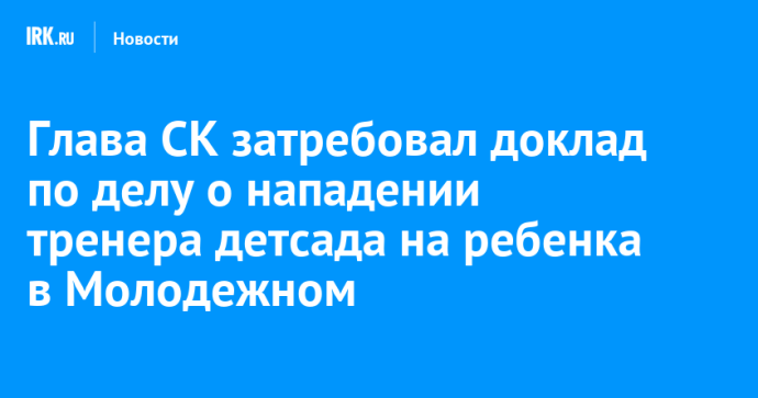 Глава СК затребовал доклад по делу о нападении тренера детсада на ребенка в Молодежном