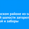 В Тулунском районе из-за детской шалости загорелись сухостой и заборы